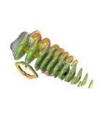 EUGY CAMALEÓN - Imagen 5