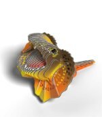 EUGY FRILLED LIZARD - Image 2