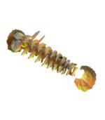 EUGY FRILLED LIZARD - Image 6