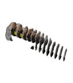 EUGY GORILA - Imagen 5