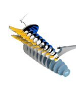 EUGY PTERO NUEVO - Imagen 4