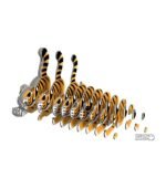 EUGY TIGER NUEVO - Image 5