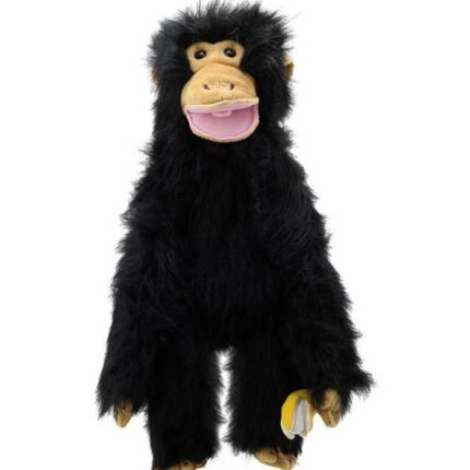 CHIMP – PRIMATES MEDIANOS