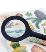 LUPA ZOOM CON LUZ LED - Imagen 6