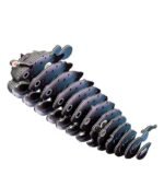 EUGY ANGLERFISH - Imagen 5