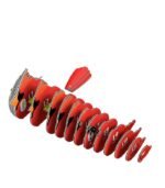 EUGY CARDINAL NUEVO - Image 6