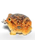 EUGY DESERT SPADEFOOT TOAD - Imagen 3