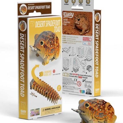 EUGY DESERT SPADEFOOT TOAD