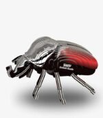 EUGY GOLIATH BEETLE - Imagen 3