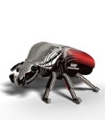EUGY GOLIATH BEETLE - Imagen 5