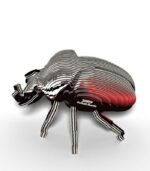 EUGY GOLIATH BEETLE - Imagen 4