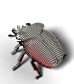 EUGY GOLIATH BEETLE - Imagen 2