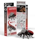EUGY GOLIATH BEETLE
