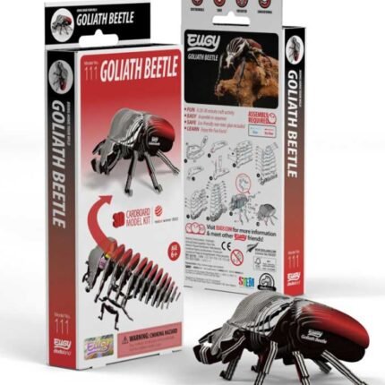 EUGY GOLIATH BEETLE