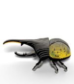 EUGY HERCULES BEETLE - Imagen 2