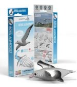 EUGY ROYAL ALBATROSS