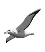EUGY ROYAL ALBATROSS - Imagen 2