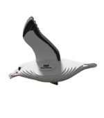 EUGY ROYAL ALBATROSS - Imagen 3