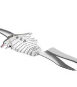 EUGY ROYAL ALBATROSS - Imagen 5