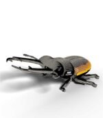 EUGY STAG BEETLE - Imagen 2
