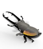 EUGY STAG BEETLE - Imagen 4