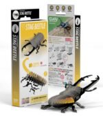 EUGY STAG BEETLE