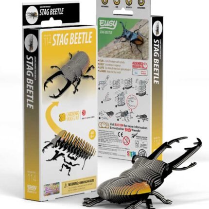 EUGY STAG BEETLE