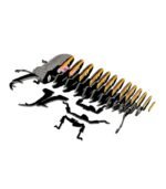 EUGY STAG BEETLE - Imagen 5