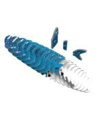 EUGY WHALE SHARK - Imagen 5