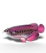 Eugy Arowana Asian - Image 4