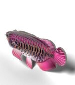 Eugy Arowana Asian - Image 3