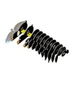 EUGY OSO NEGRO - Imagen 2