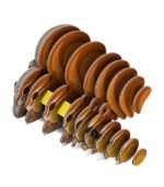 EUGY ARDILLA LISTADA - Imagen 5