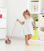 PAJARITO DE ARRASTRE - Imagen 2