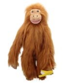 ORANGÁN PUCK - LARGE PRIMATES