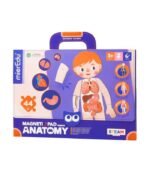 TABLERO MAGNÉTICO - PUZLE DE ANATOMÍA