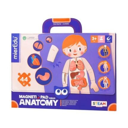 TABLERO MAGNÉTICO - PUZLE DE ANATOMÍA