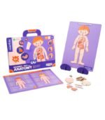 TABLERO MAGNÉTICO - PUZLE DE ANATOMÍA - Imagen 2