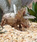PUZLE 3D ECO - TRICERATOPS - Imagen 4