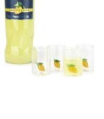 LEMON SHOT GLASSES SET - Image 9